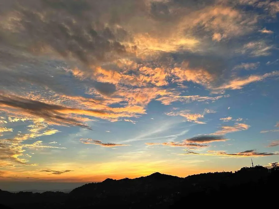 The Misty Pines Inn Shimla